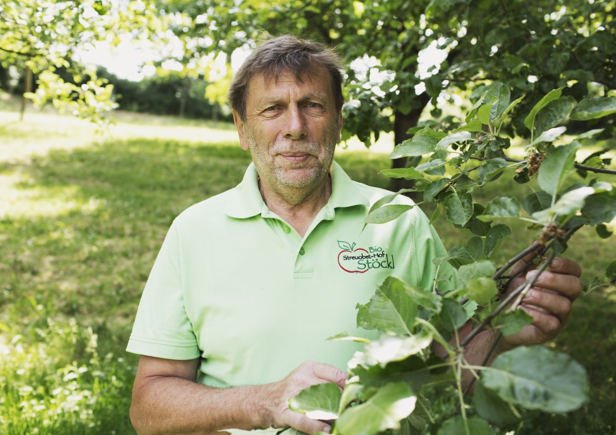 Georg Stöckl auf Streuobstwiese