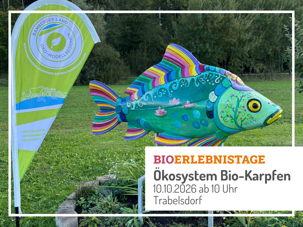 bunte Skulptur eines Karpfens