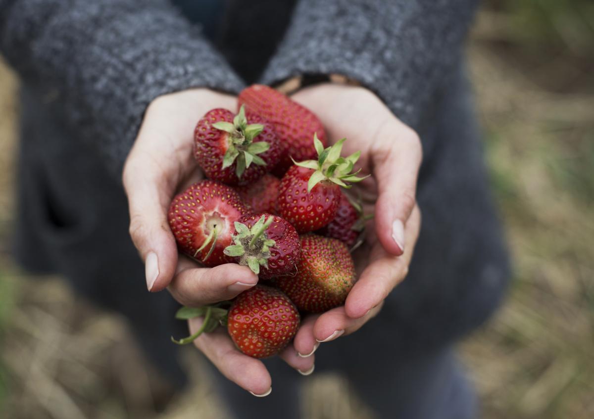 Hände mit Erdbeeren