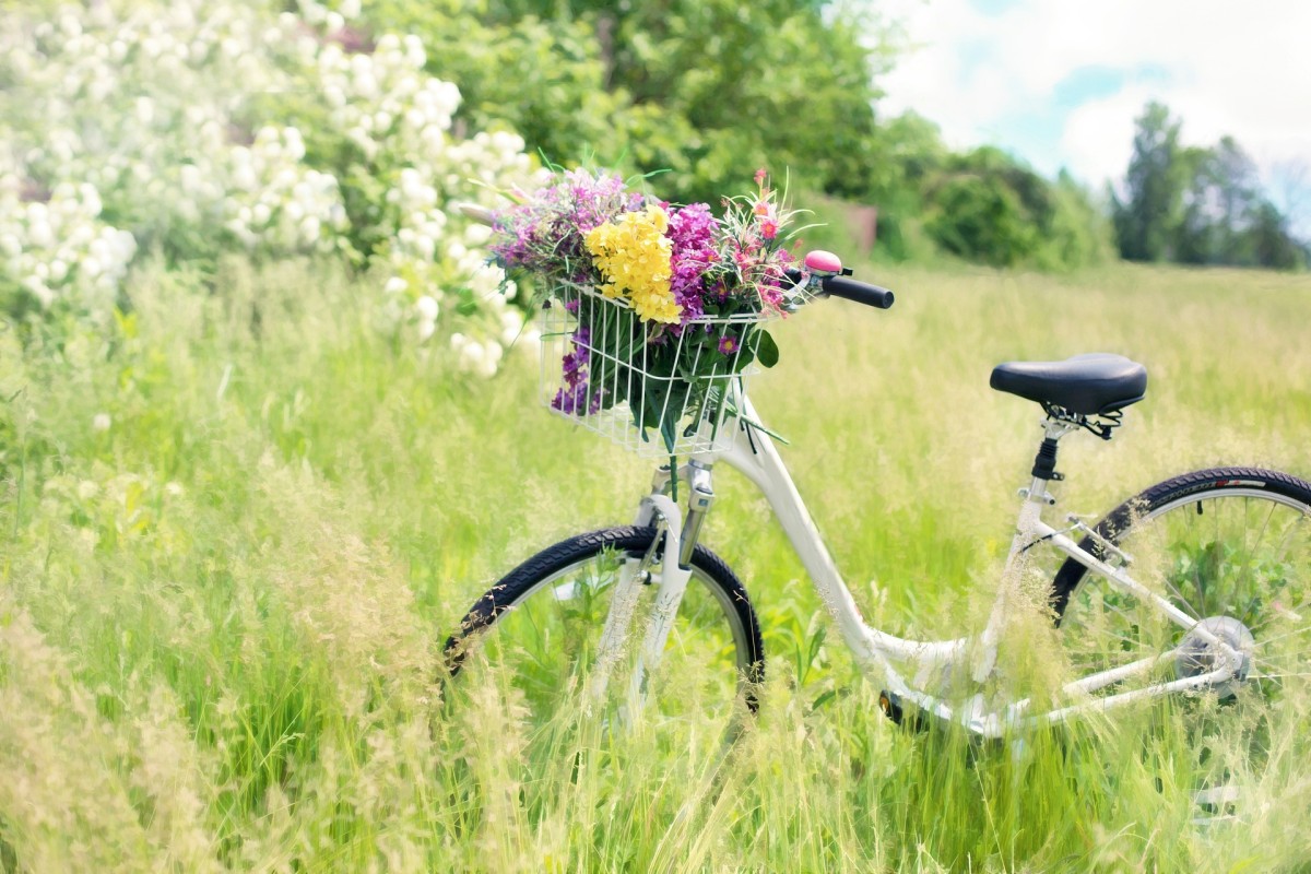 ein weißes fahrrad steht mit einem Korb am Lenker voller Blumen an einem Rain mit Hecken und Gras