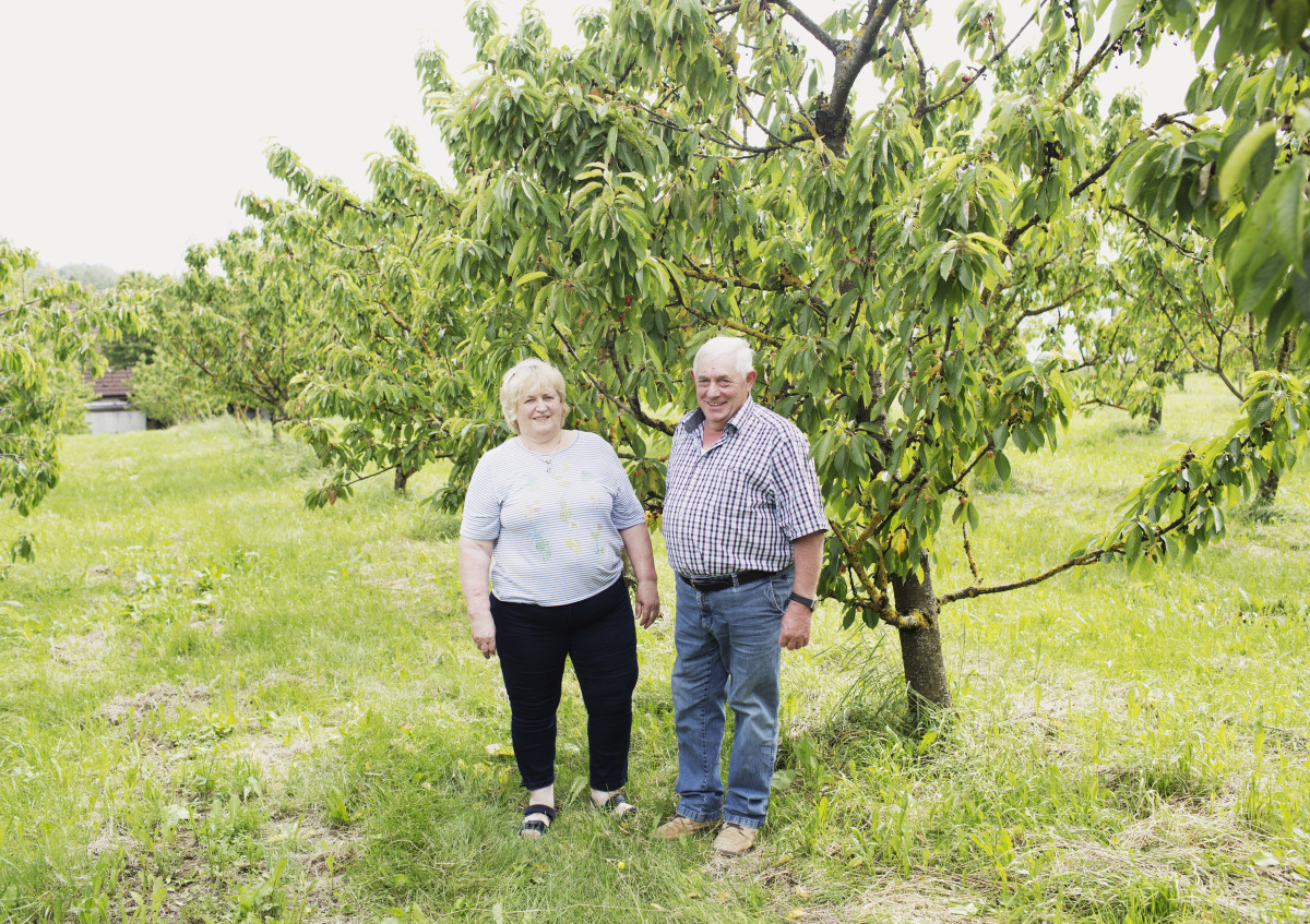 Herr und Frau Friedrich vom Biohof Friedrich stehen auf einer grünen Wiese vor einem ihrer Kirschbäume und lächeln freundlich in die Kamera