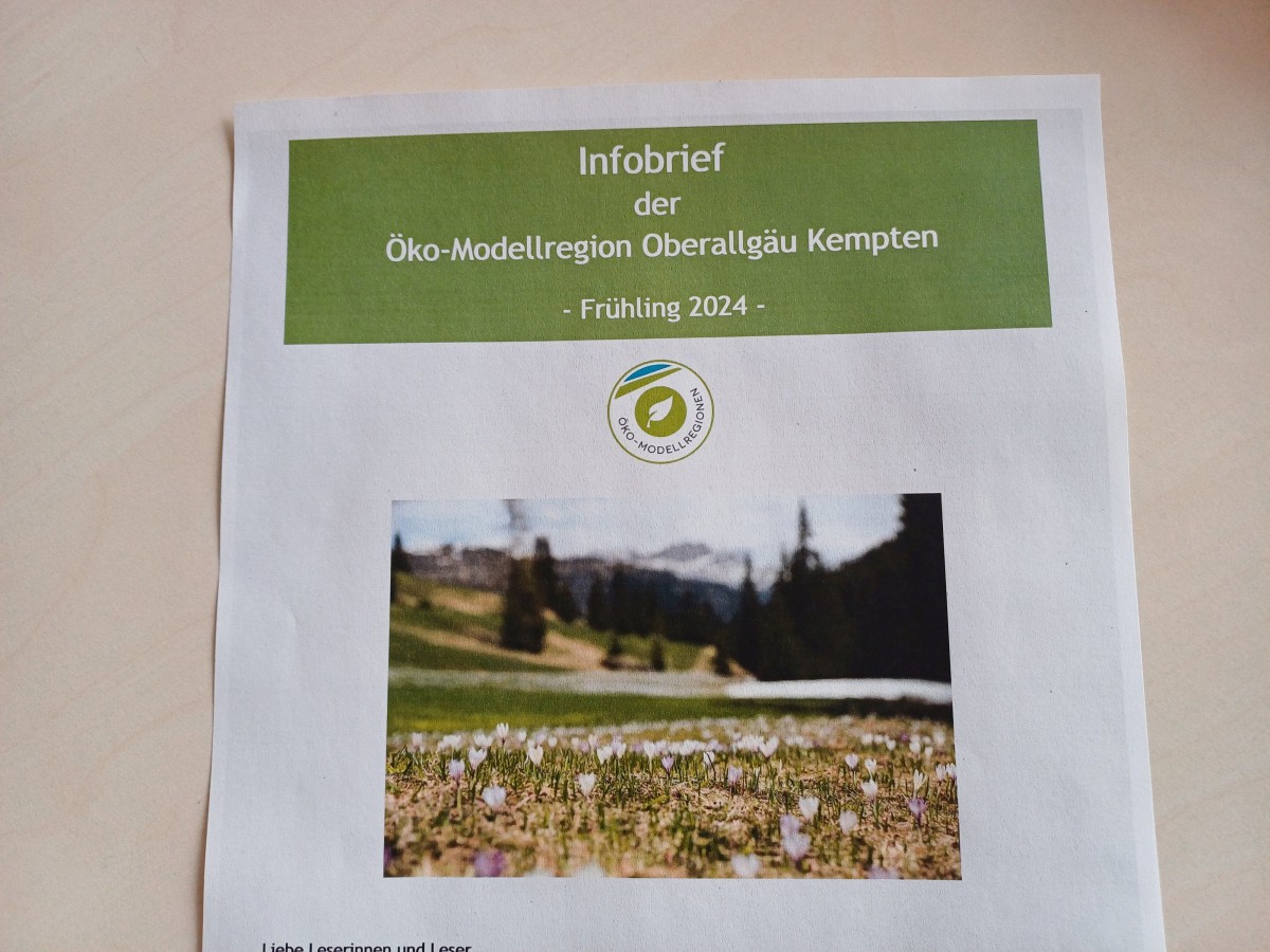 Titelbild Infobrief