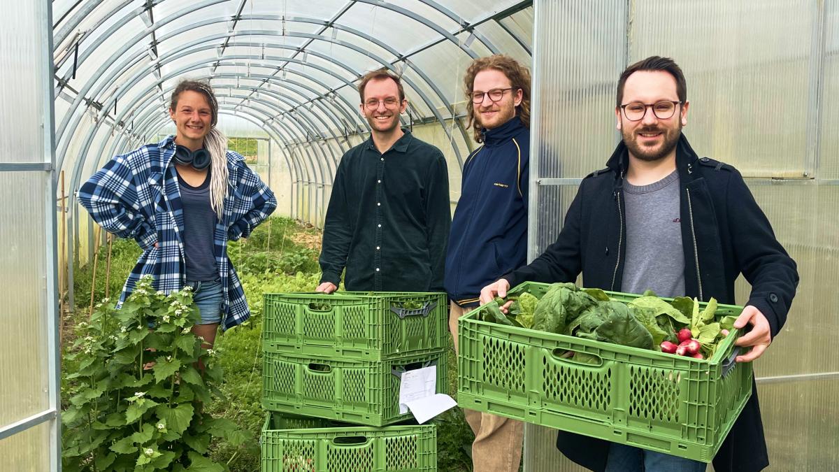 4 Menschen mit Gemüsekisten
