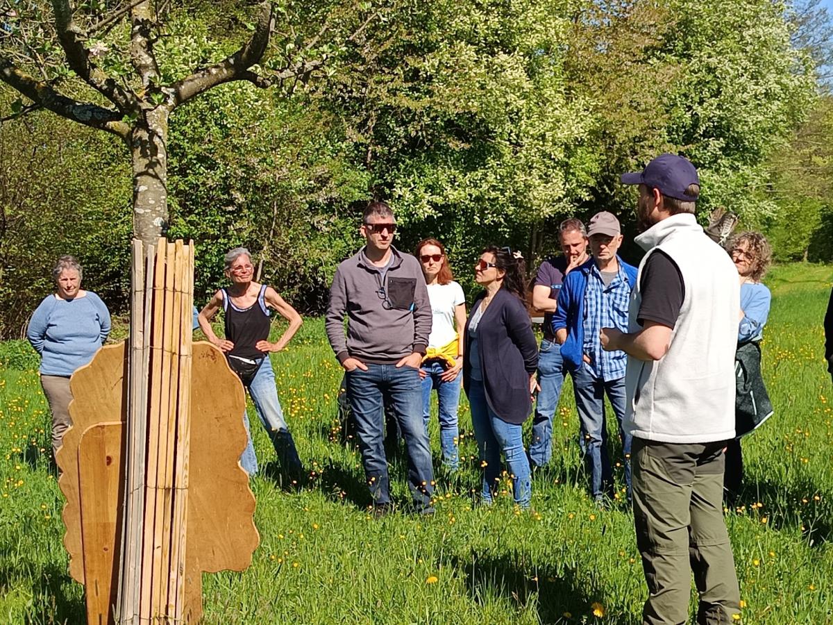 Wissen vermitteln direkt am lebenden Objekt: Teilnehmende der Exkursion informieren sich an einem Streuobstbaum, auch über die Tierwelt der Wiese. Links im Bild steht Baumpatin Annette Bobenstetter, die sich seit Jahren mit großem Engagement um die Pflege der Anlage kümmert.