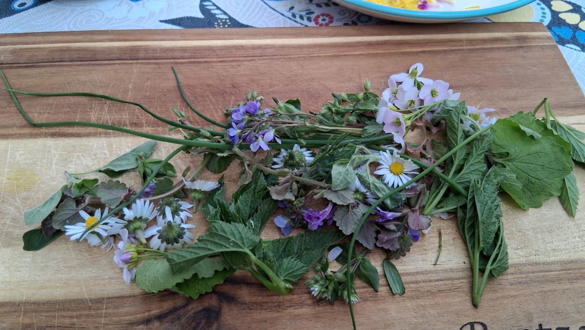 grüne Pflanzen mit farbigen Blüten liegen auf einem brett