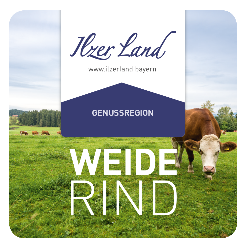 Ilzer Land Weiderind