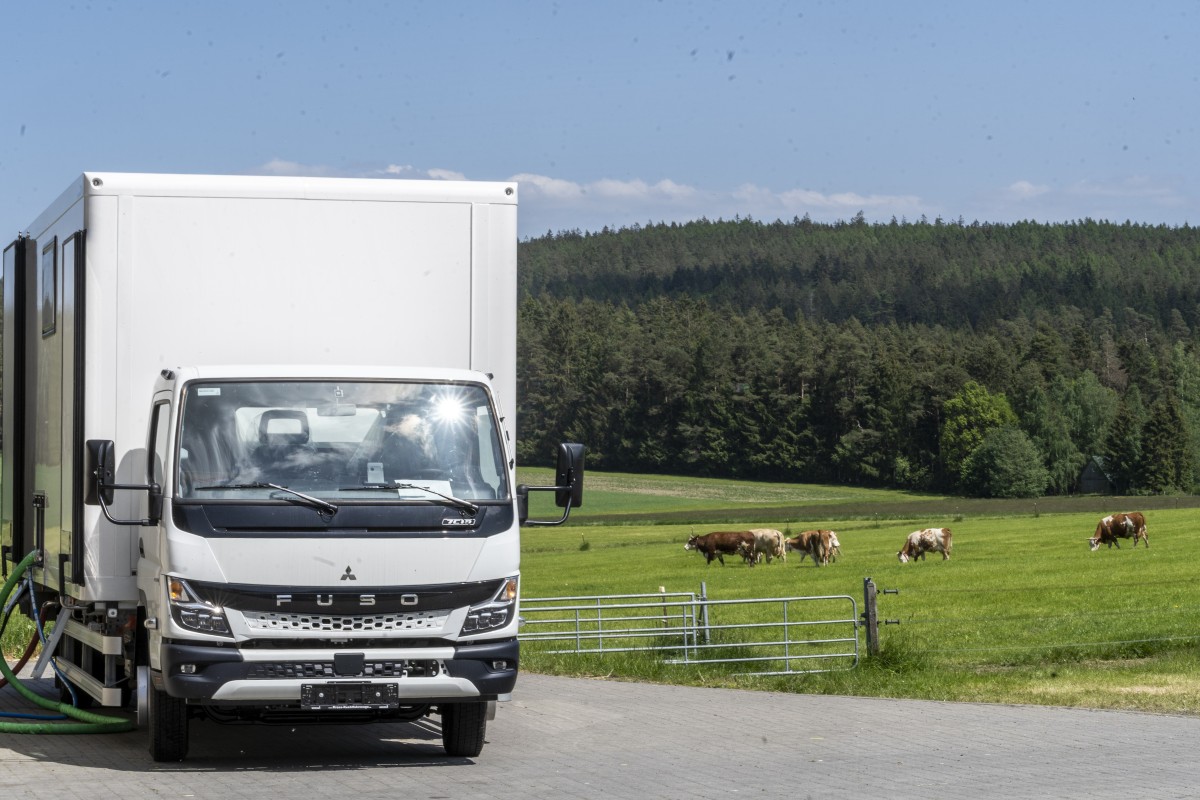 weißer LKW vor einer Weide mit Kühen