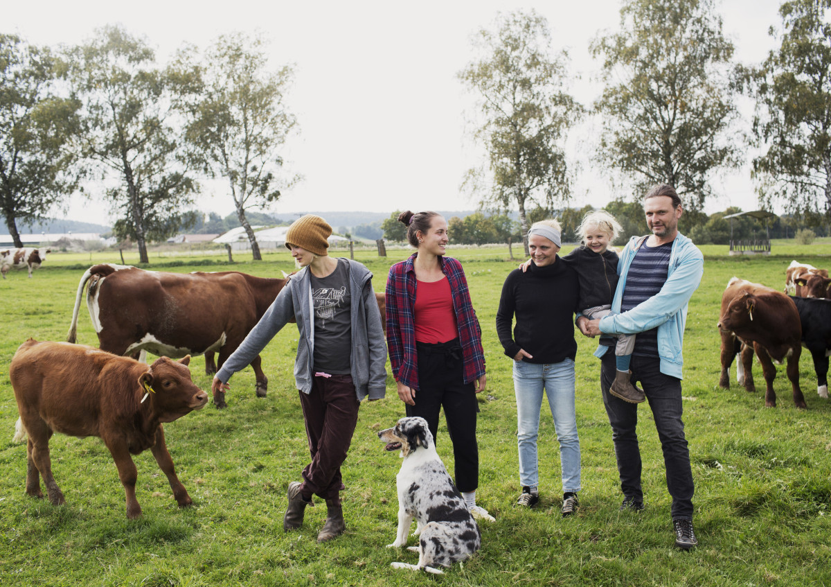Familie Stadler und ihre Kühe auf der Weide