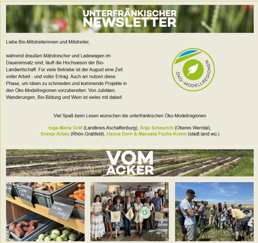 Screenshot vom Newsletter