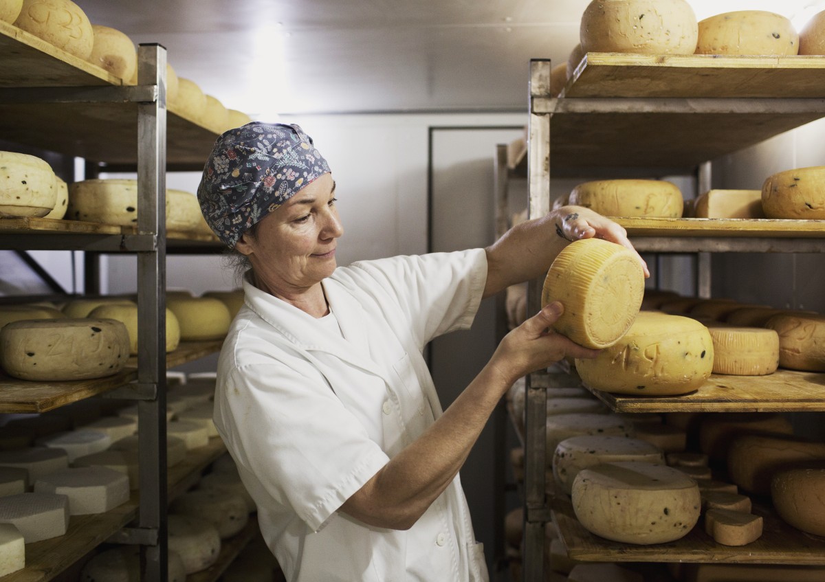 Käserin bei der Betrachtung von Käse