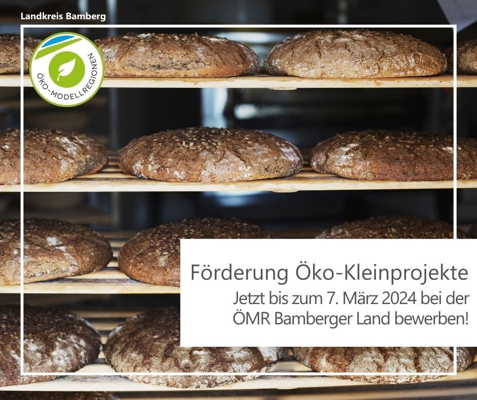 Bild fertig gebackender Brote im Holozstellregal, dazu der Text Förderung Öko-Kleinprojekte: Jetzt bis zum 07. März bei der Öko-Modellregion Bammberger Land bewerben!