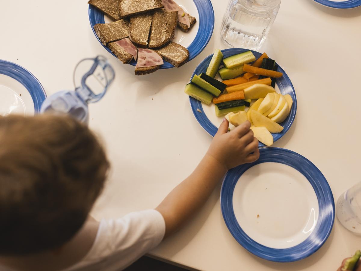 Frisches Bio-Gemüse aus der Region für die Schulen und Kitas