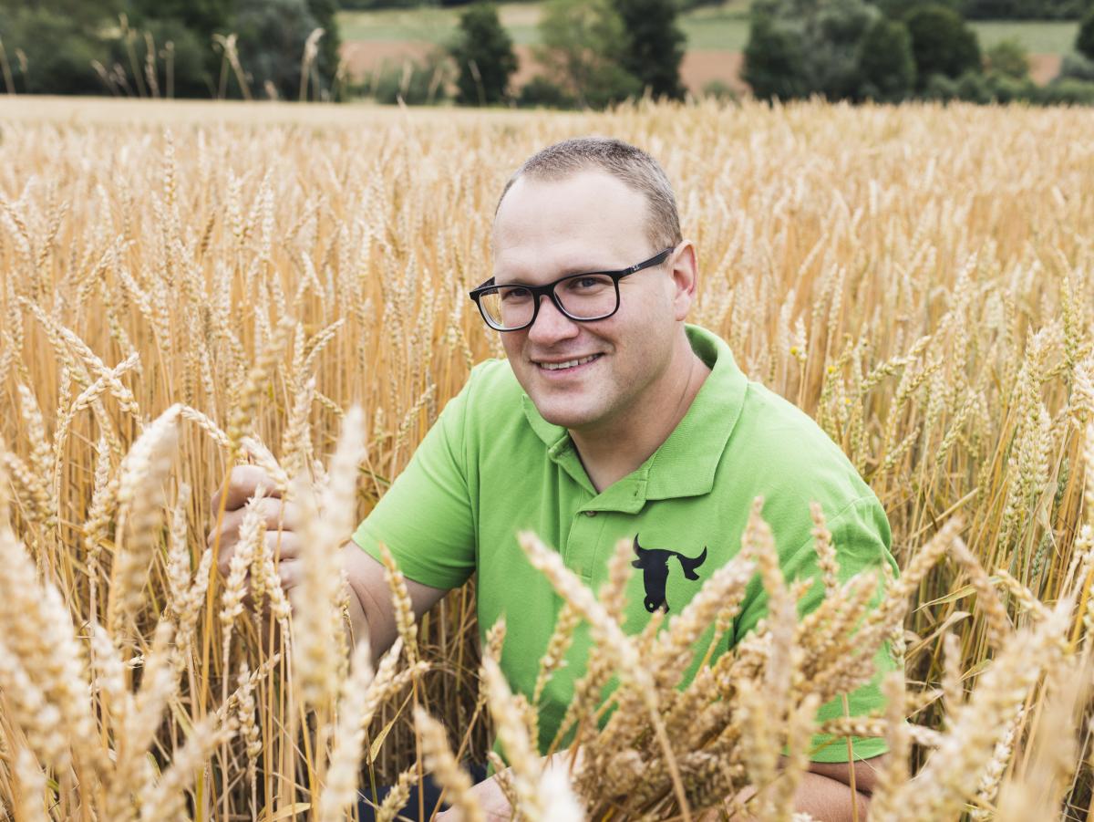 stadt.land.wü., Landkreis Würzburg, Stadt Würzburg