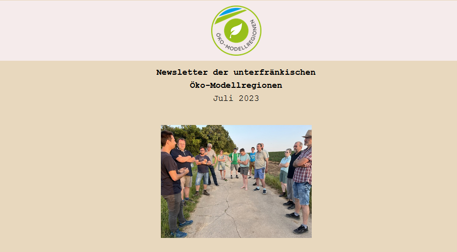 Screenshot eines Newsletterkopfes