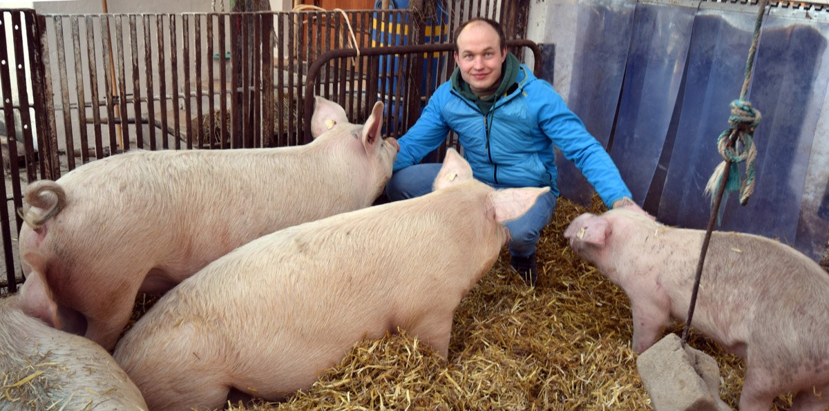 Schweinemast: Markus Kroiß streichelt einige Schweine. Mit Spaltenböden und behördlichen Auflagen hat Markus Kroiß keine Probleme.