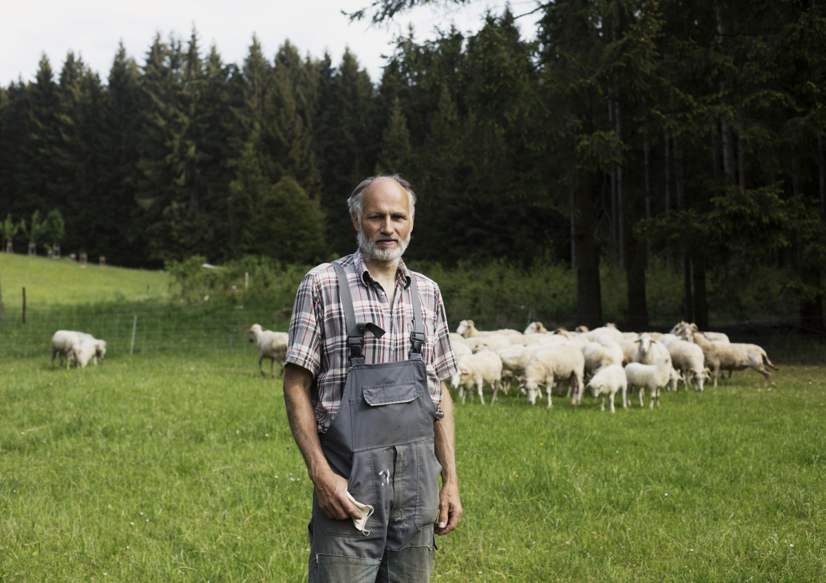 Stephan Gleissner mit seiner Waldschafherde