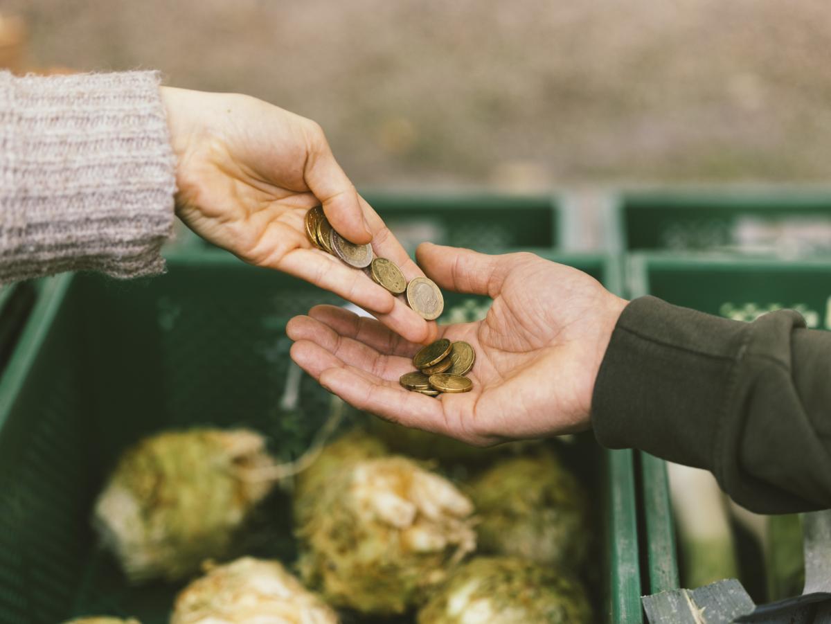 Geldmünzen in der Hand - Förderung
