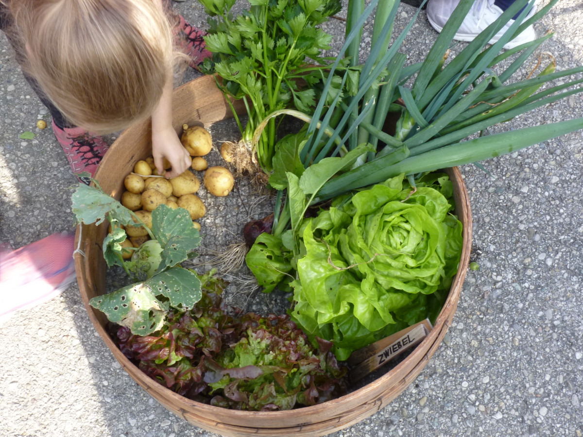 Garten-Jahresschulprojekt 2019, Grundschule Taufkirchen-Oberneukirchen