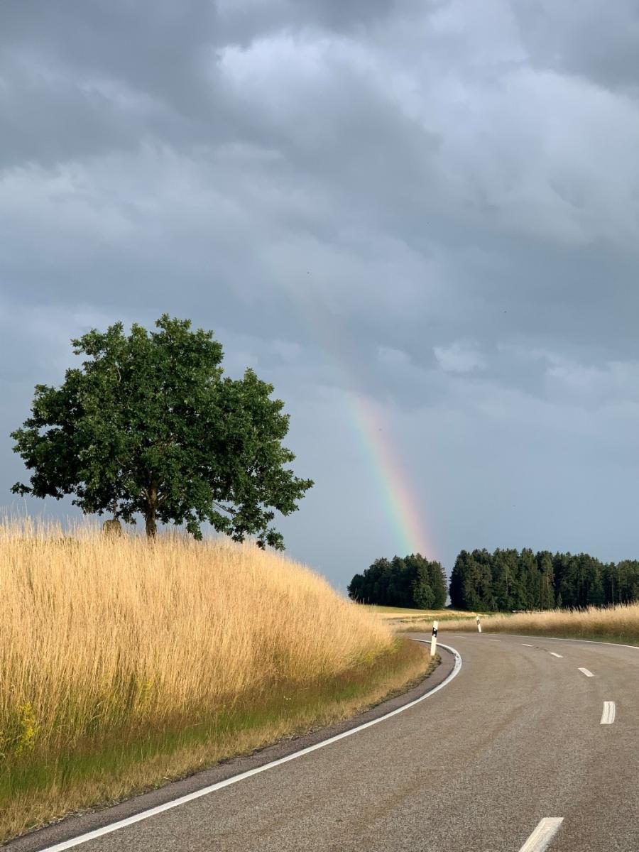 eine Straße windet sich zur Kurve, man sieht einen Baum und Feldrain und einem Regenbogen