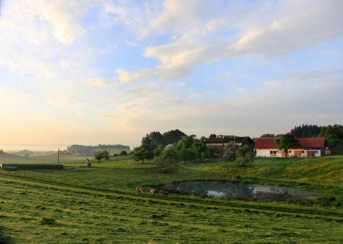 Der Biohof Kettenberger