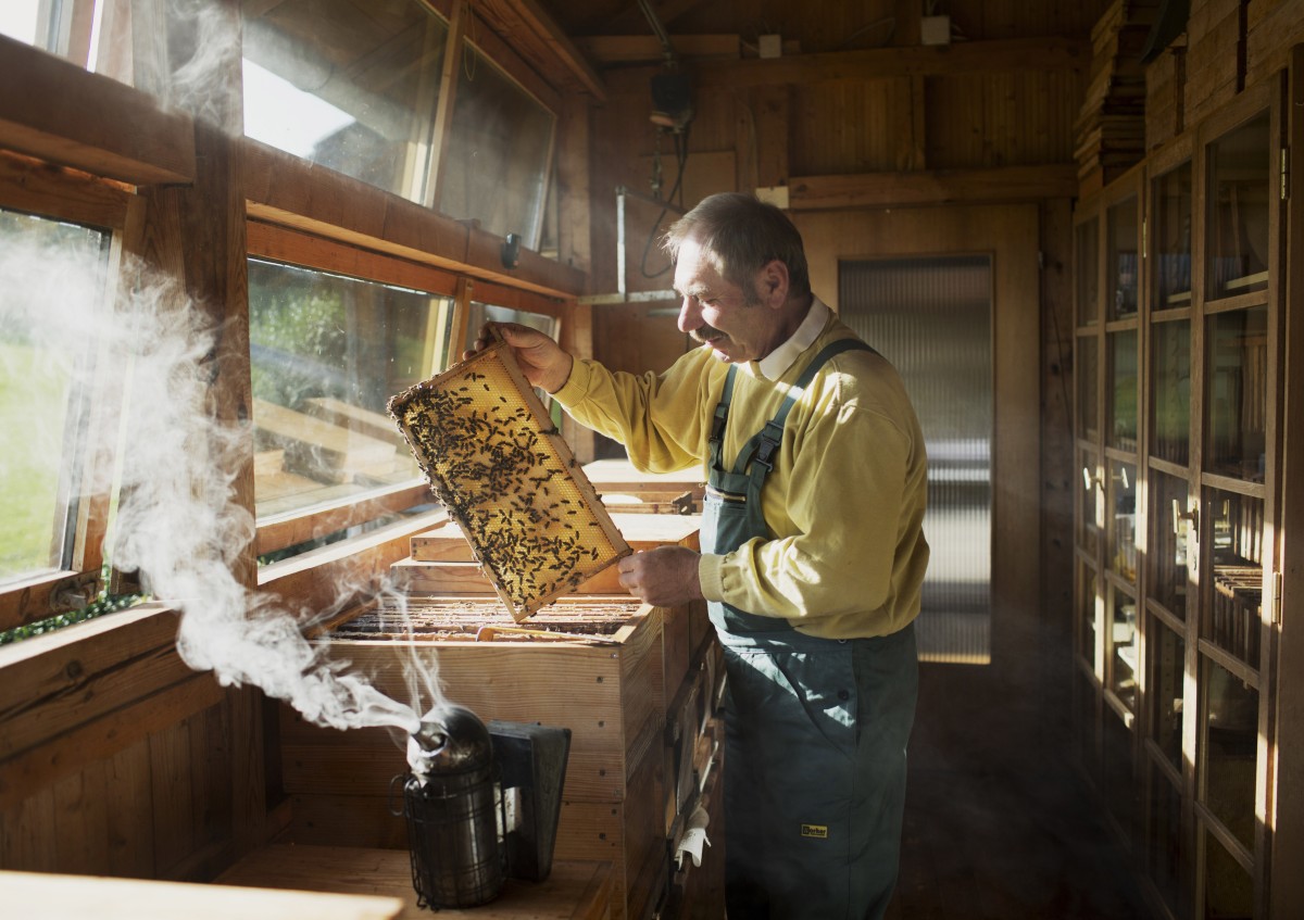 Imker steht im Bienenhaus