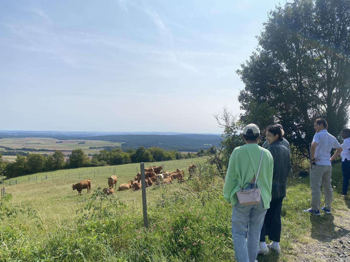 Menschen neben einer Weide mit Rindern und einem Ausblick über die Rhön