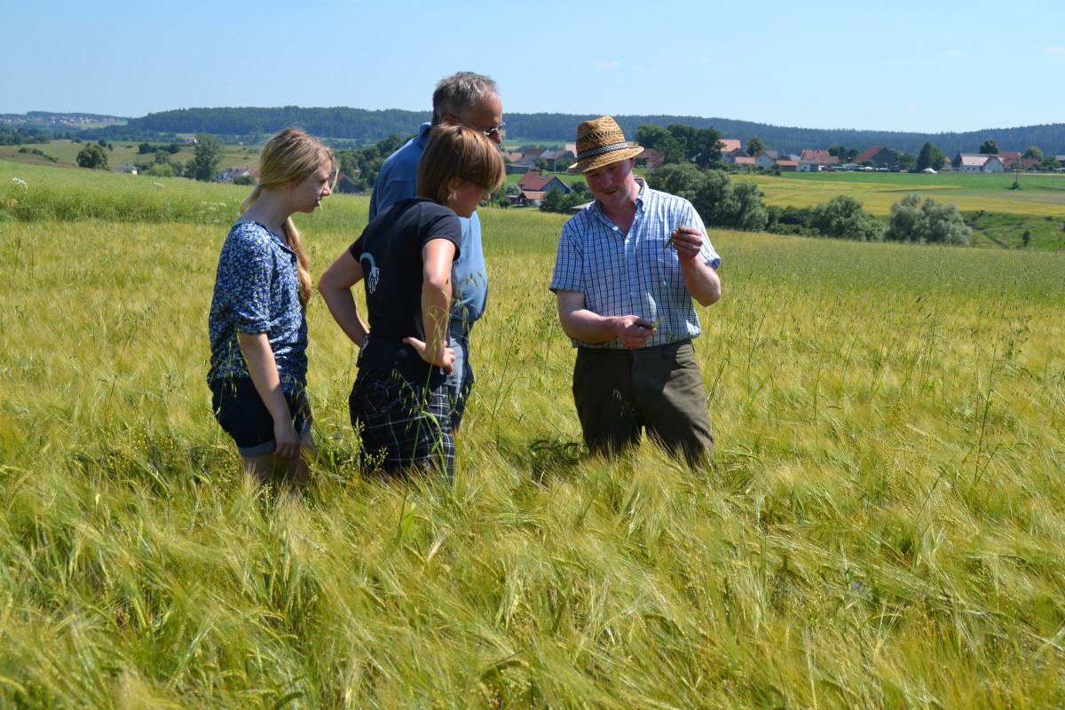 In Bayern wirtschaften derzeit über zehn Prozent aller Höfe nach den Richtlinien des ökologischen Landbaus. (Quelle: LVÖ 2020)