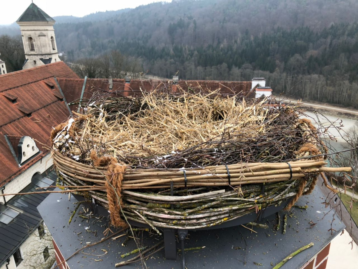 Storchennest