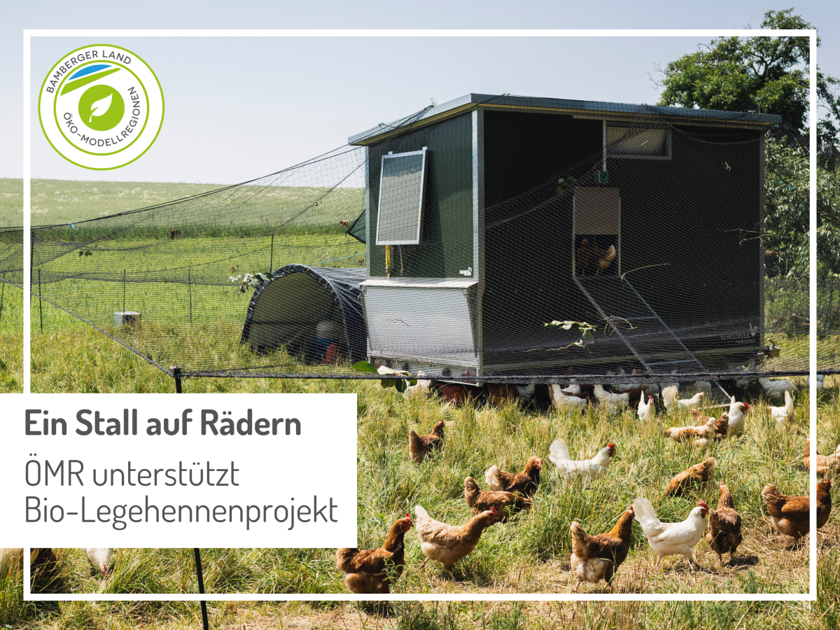 Mobiler Hühnerstall inmitten der Hühnerschar auf einer Wiese