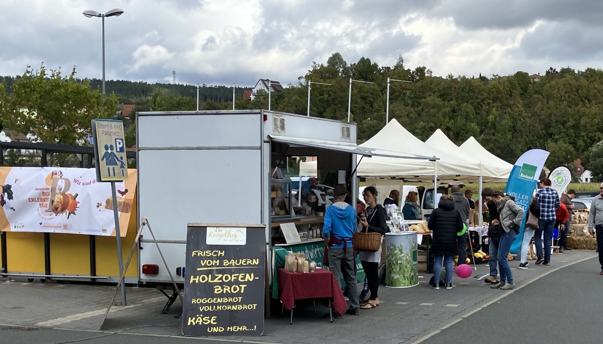 Übersicht über die Marktteilnehmer