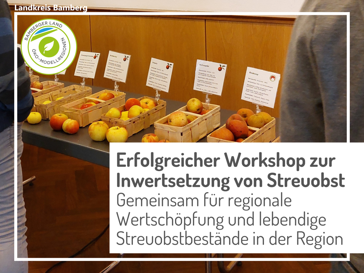 Äpfel in Lagerkisten