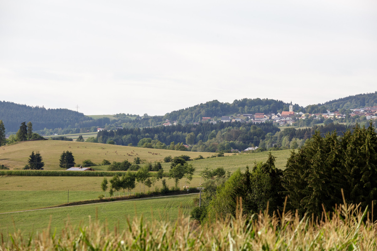 Öko-Modellregionen