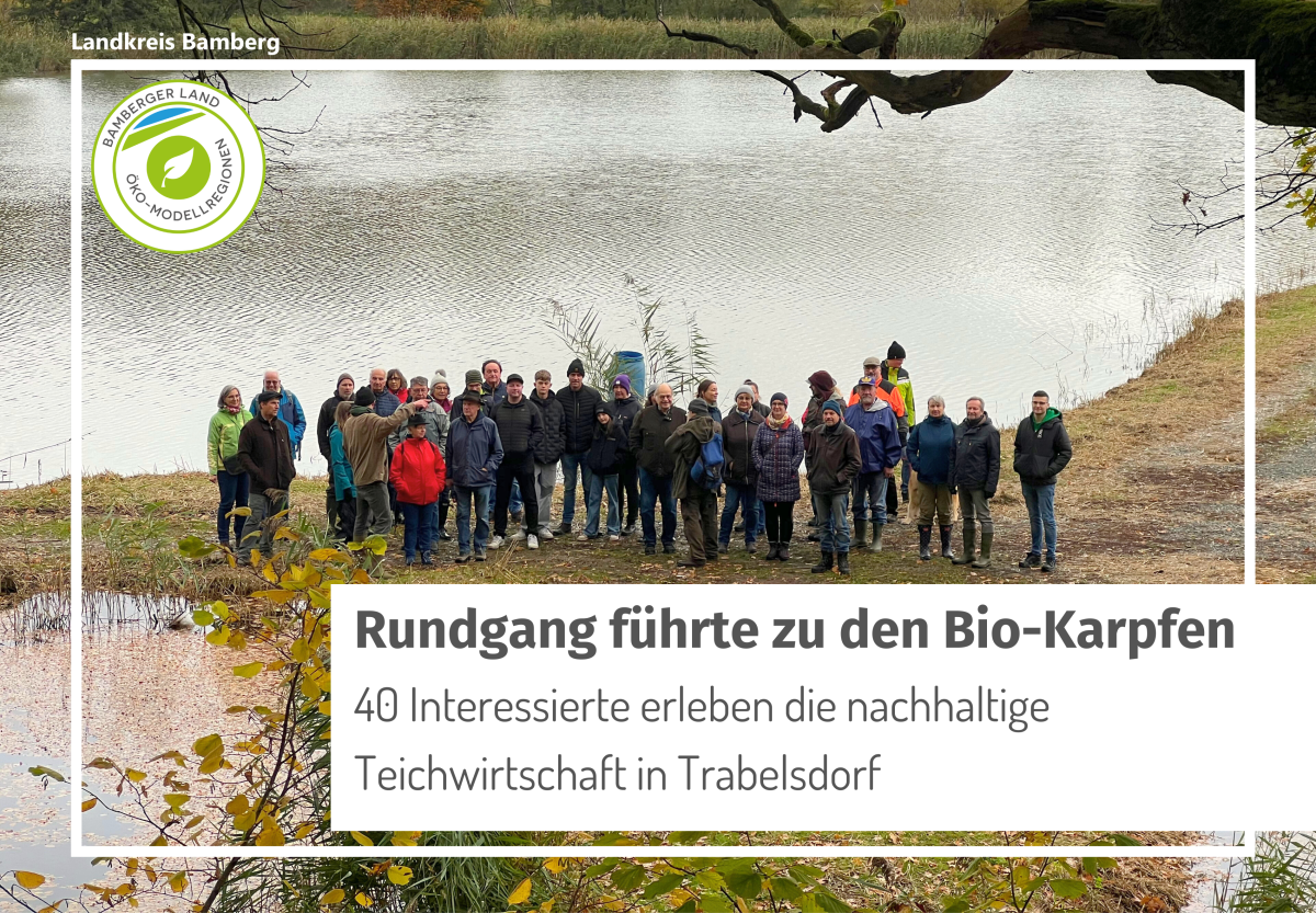 40 Personen stehen zwischen Fischteichen; Sicht von schräg oben