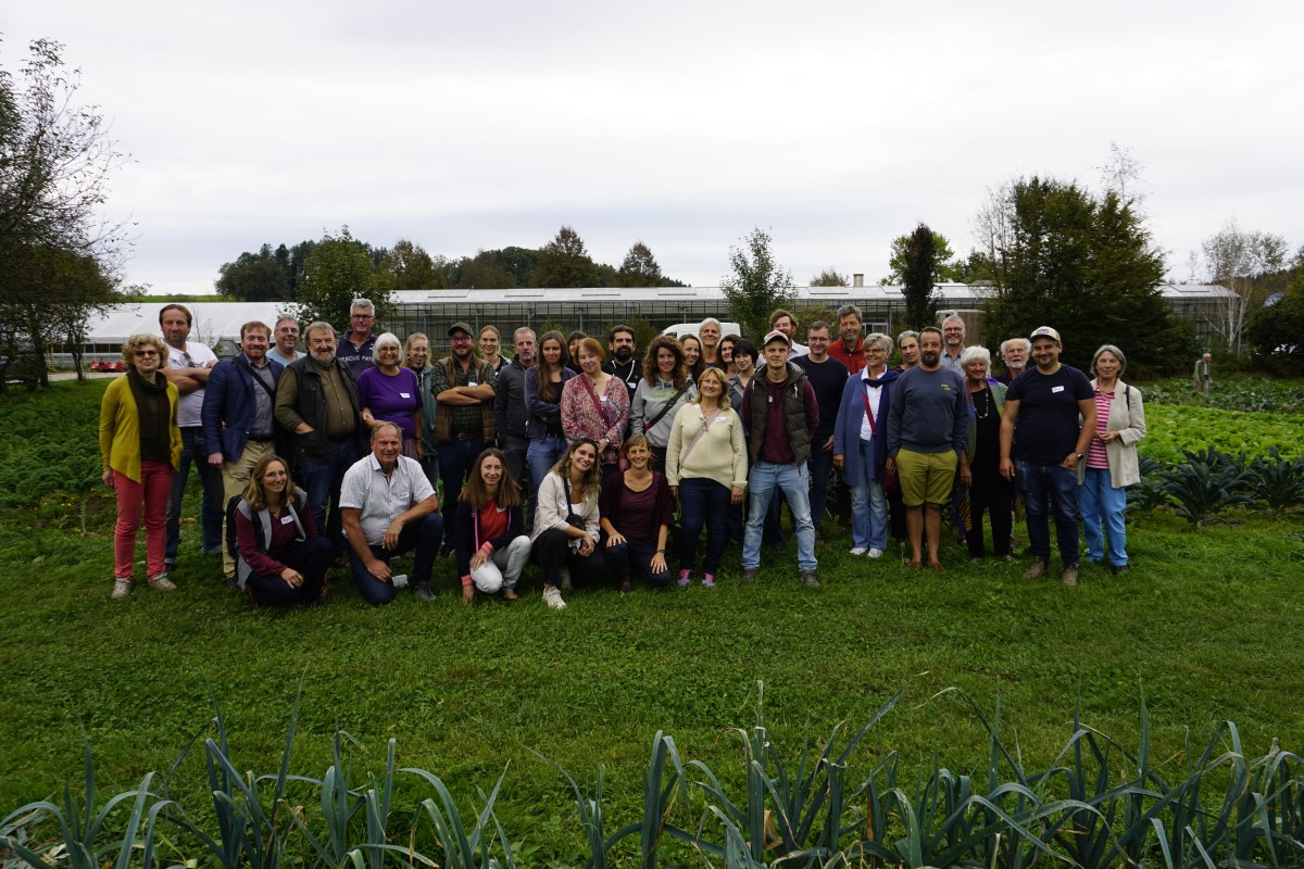 Gruppe an Menschen vor Pavillon und grüner Wiese