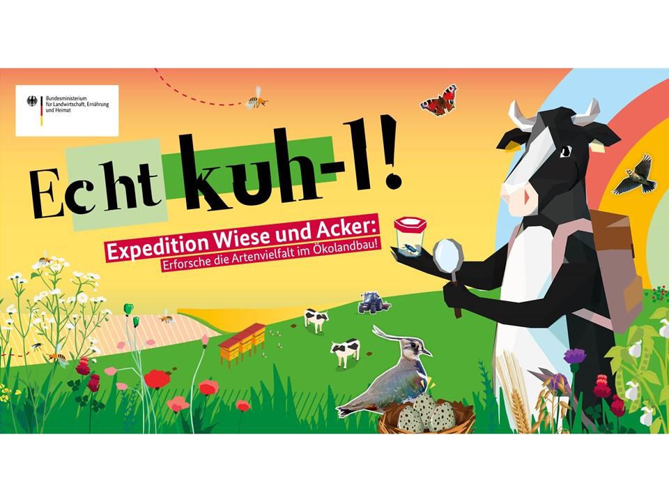 Zeichnung mit einer Kuh auf der Wiese.