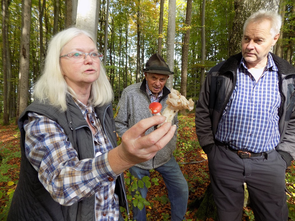 Pilzexpertin Dr. Ute Künkele verweist auf die Bedeutung der Pilze im Buchenwald und stellt einzelne Exemplare vor.