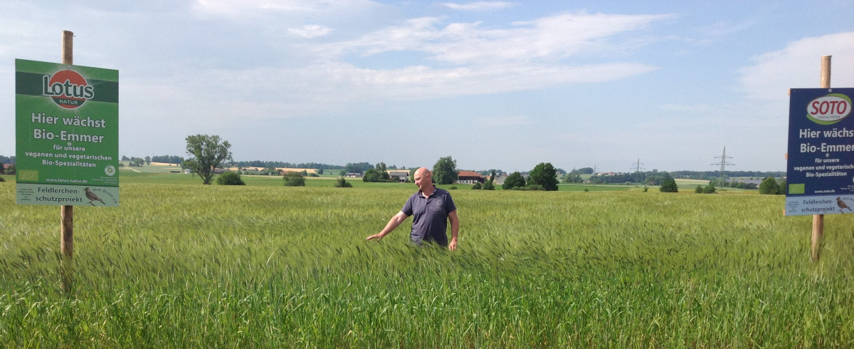 Wolfgang Aicher in einem Bio-Emmer-Feld.