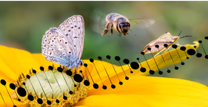 Kennzeichnung und Regulierung aller Gentechnik-Pflanzen erhalten!