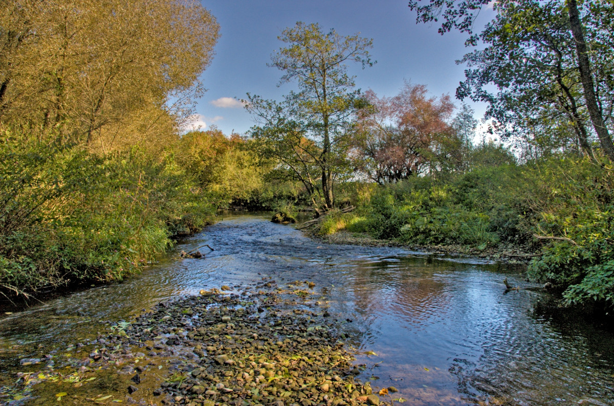 Bach im Herbst