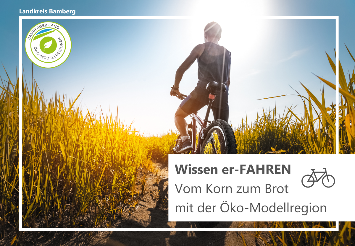Radfahrer zwischen Feldern
