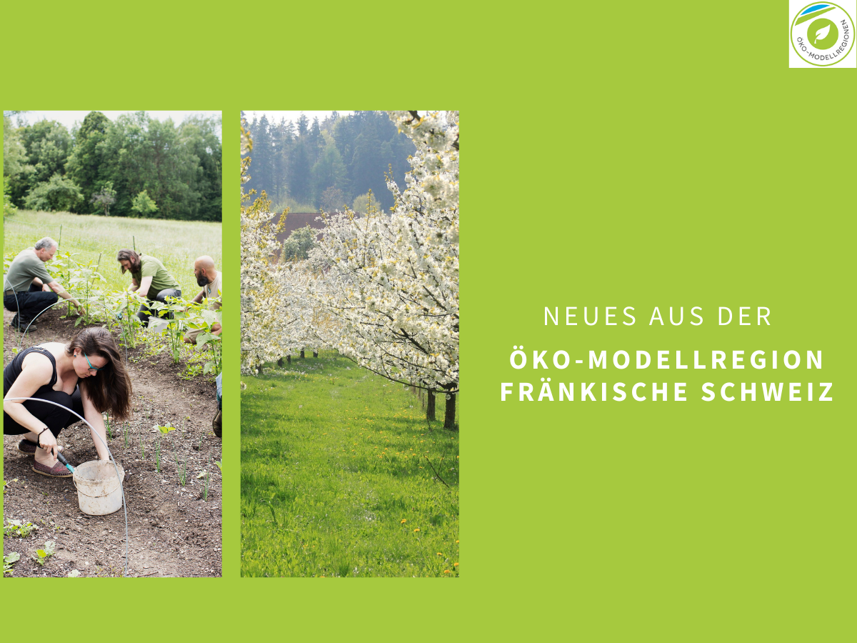2 Bilder (Frau am Feld, Kirschblüte) daneben Text: Neues aus der Öko-Modellregion Fränkische Schweiz