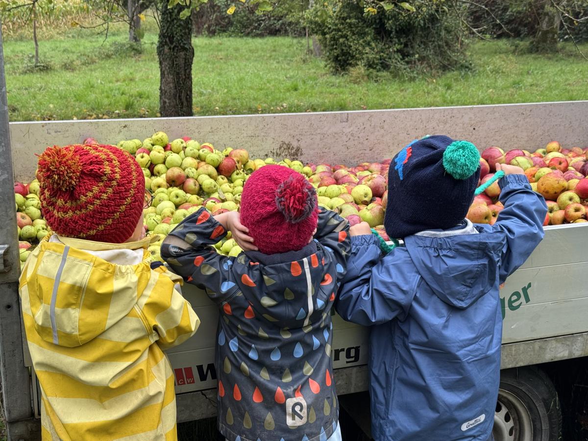 Drei Kinder bestaunen die gesammelten Äpfel die sich im Anhänger türmen