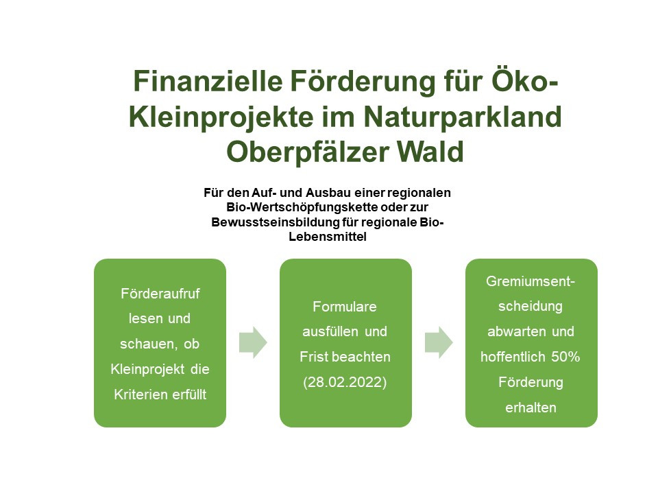 Aufruf zur Bewerbung für den Verfügungsrahmen Öko-Projekte