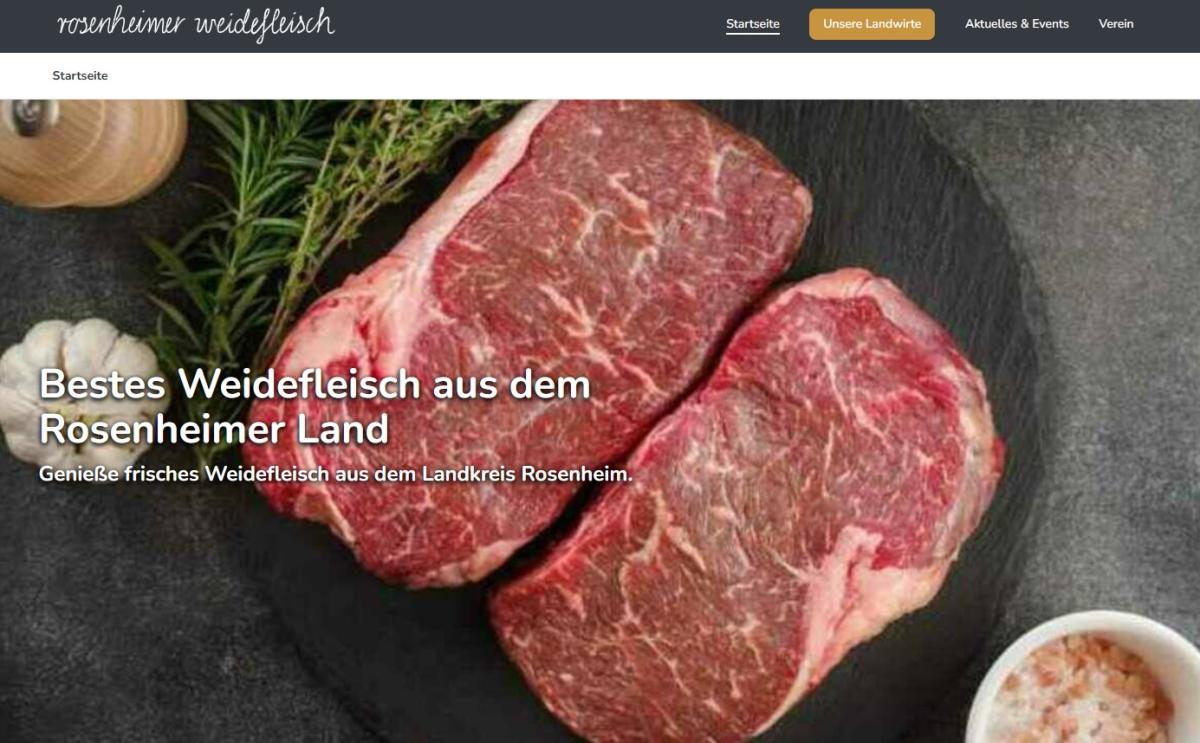 Bildschirmaufnahme Webseite