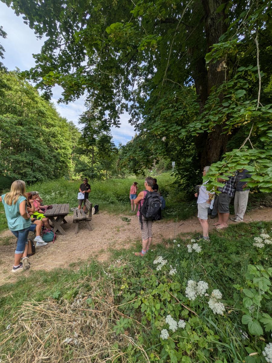 Rangertour nach Engelhsrdberg