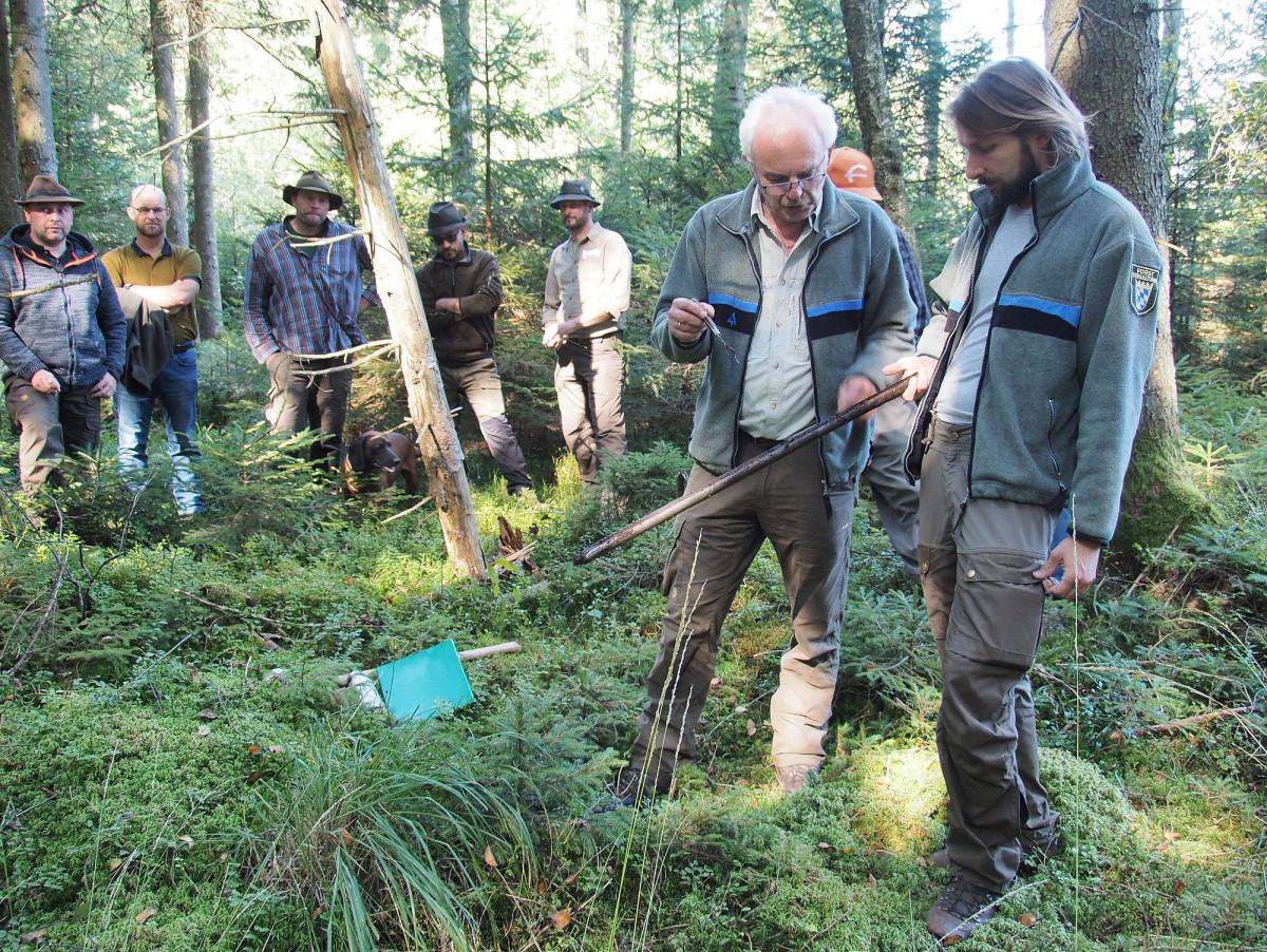 Anhand von Bodenproben erklärten Förster Max Poschner (2.v.r.) und Dominik Zellner (r.) die Beschaffenheit des Bodens und den zugehörigen Pflanzenbestand in Hochmooren.