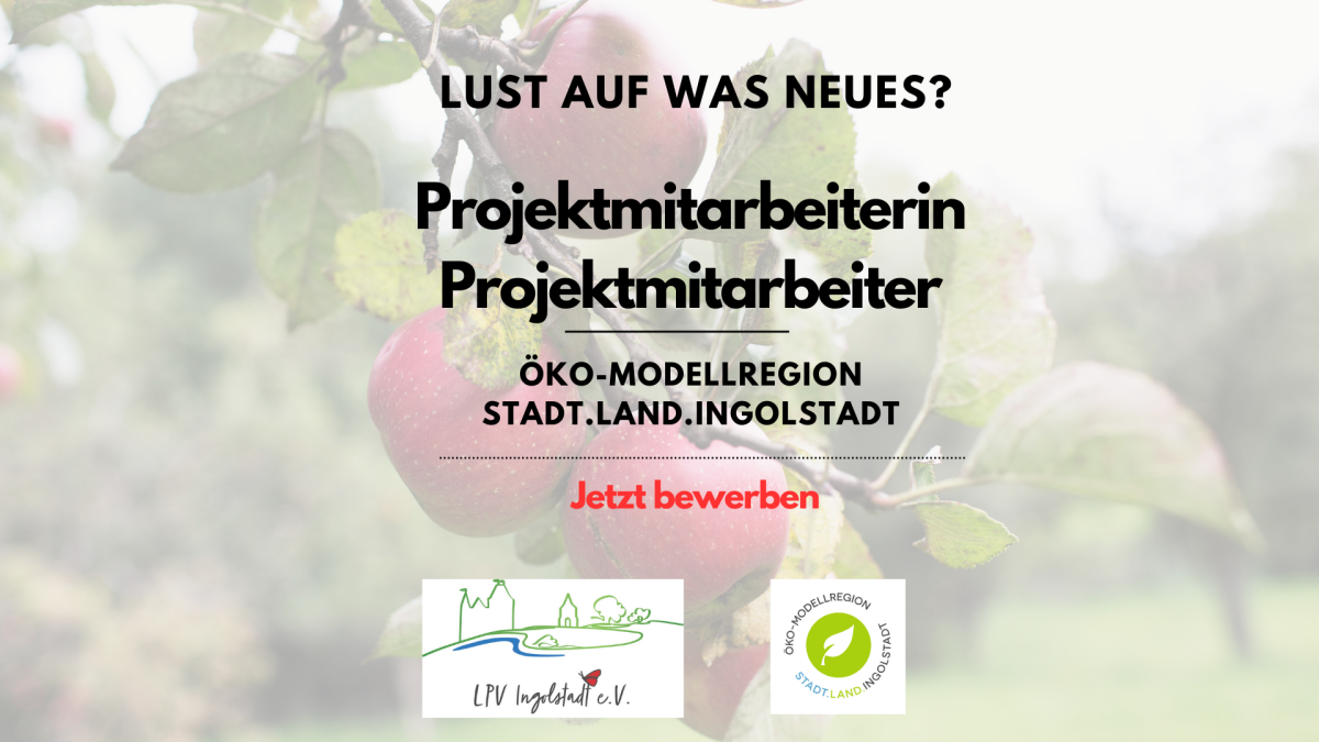 Stellenausschreibung Projektmitarbeiter