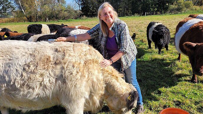 Beweidung im Brucker Moos