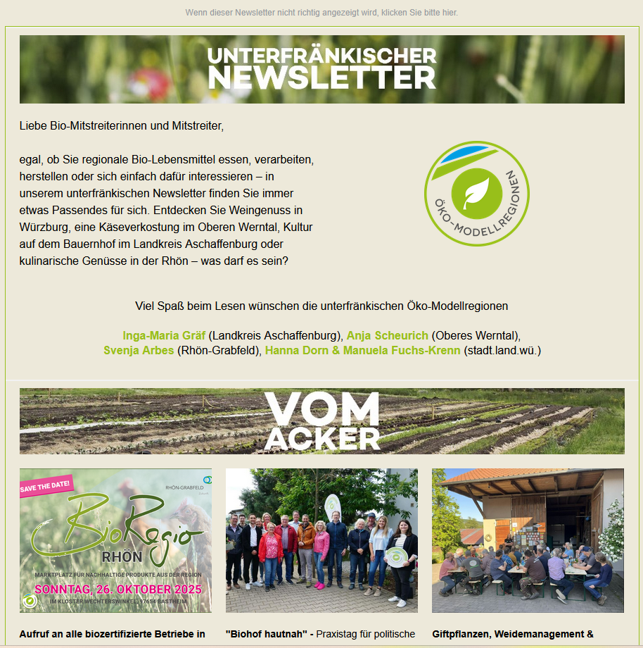 Screenshot Newsletter