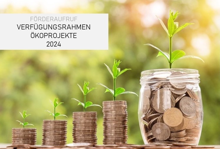 Förderaufruf Ökoprojekte 2024